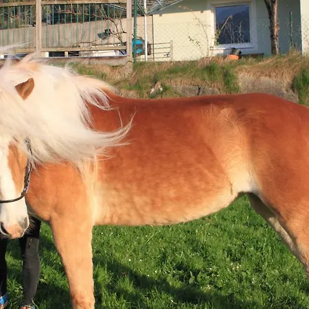 Huaberhof ווירברג