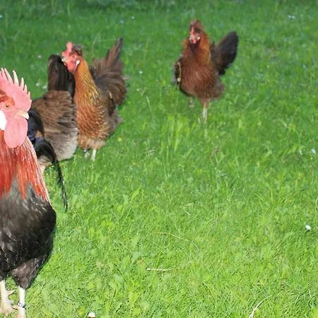 Huaberhof ווירברג