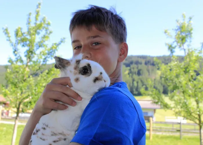 مزرعة للإقامة Huaberhof *