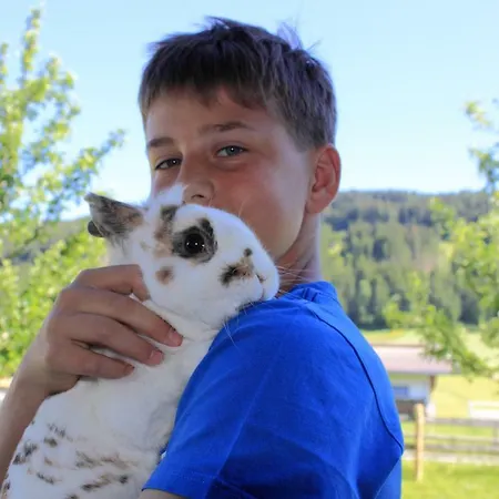 Çiftlik konaklama Huaberhof *